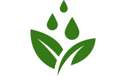 drenaggio pianta innaffiata immagine stilizzata verde