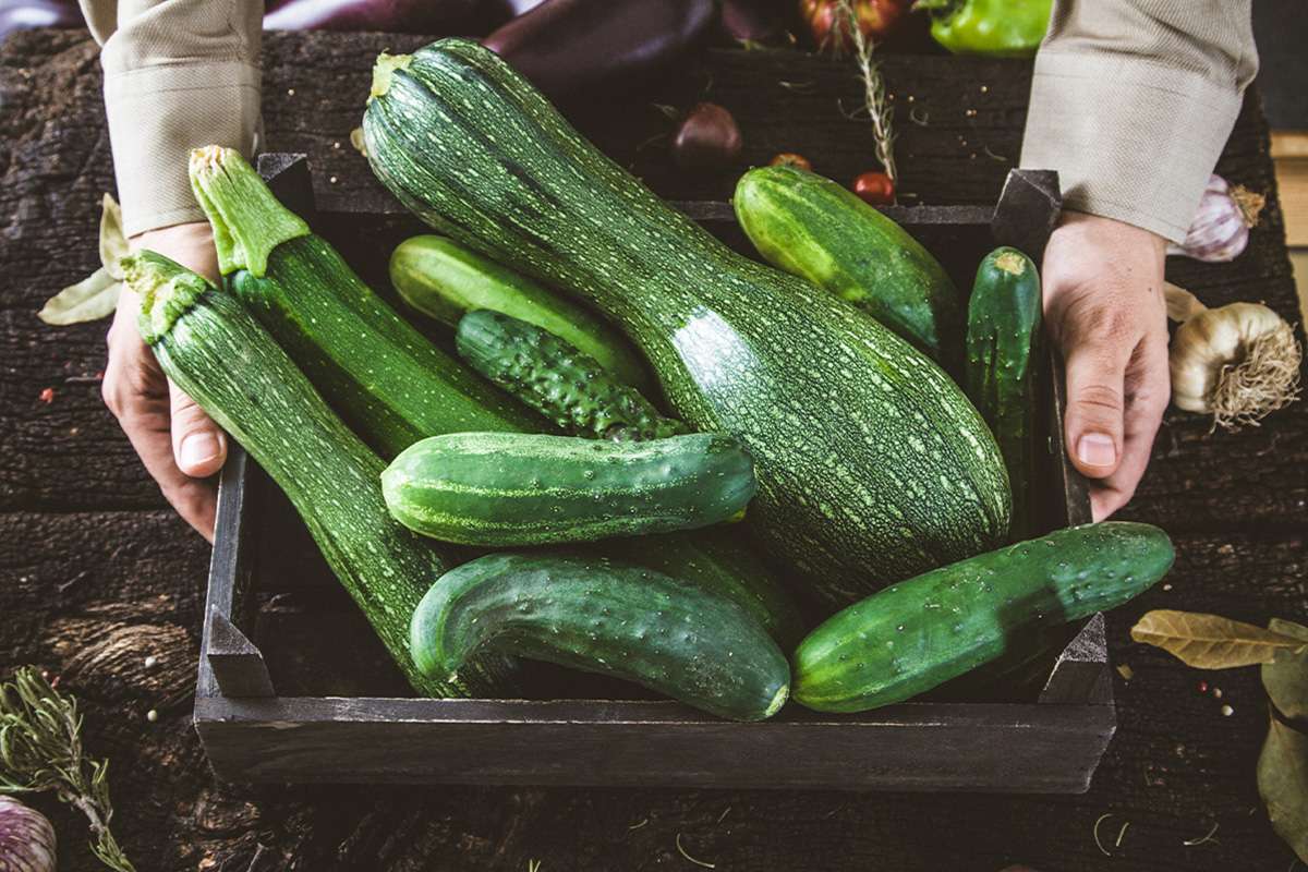 zucchine fresche in una grande cesta