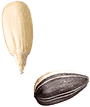 semiDX