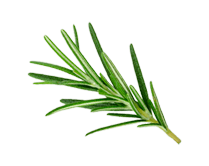 Spray Ideale per Grigliate